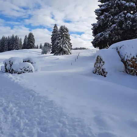 Große Gemütliche In Schwarzwaldhof * Ibach