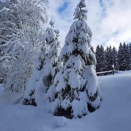 Große Gemütliche In Schwarzwaldhof Apartamento