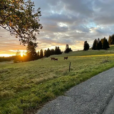 Apartamento Große Gemütliche In Schwarzwaldhof Ibach