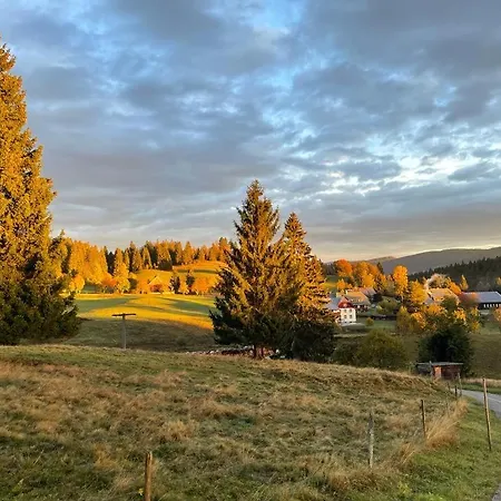 Große Gemütliche In Schwarzwaldhof *
