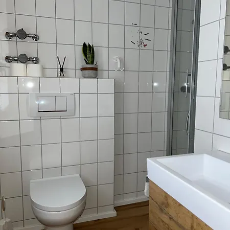 Grosse Gemuetliche In Schwarzwaldhof Ibach