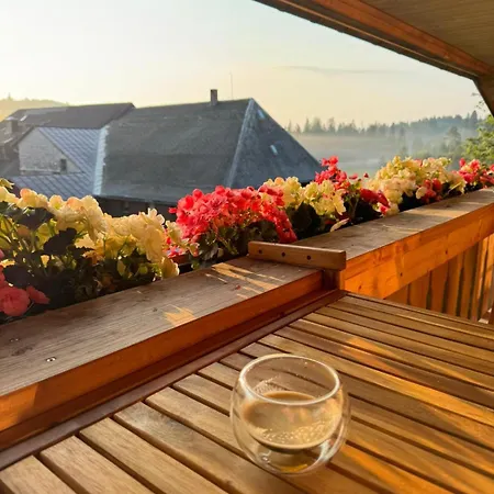 Apartamento Große Gemütliche In Schwarzwaldhof