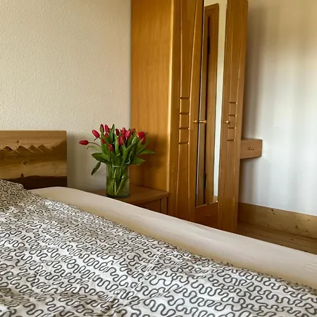 Apartamento Große Gemütliche In Schwarzwaldhof Ibach