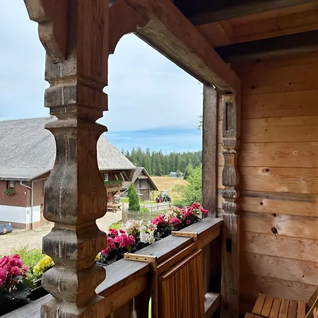 アパート Grosse Gemuetliche In Schwarzwaldhof *