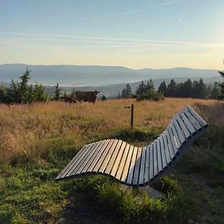 アパート Grosse Gemuetliche In Schwarzwaldhof