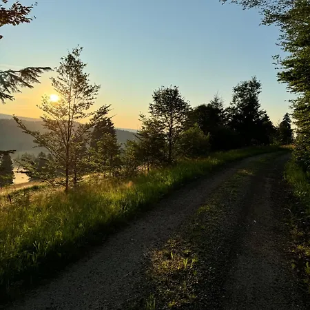 Große Gemütliche In Schwarzwaldhof *